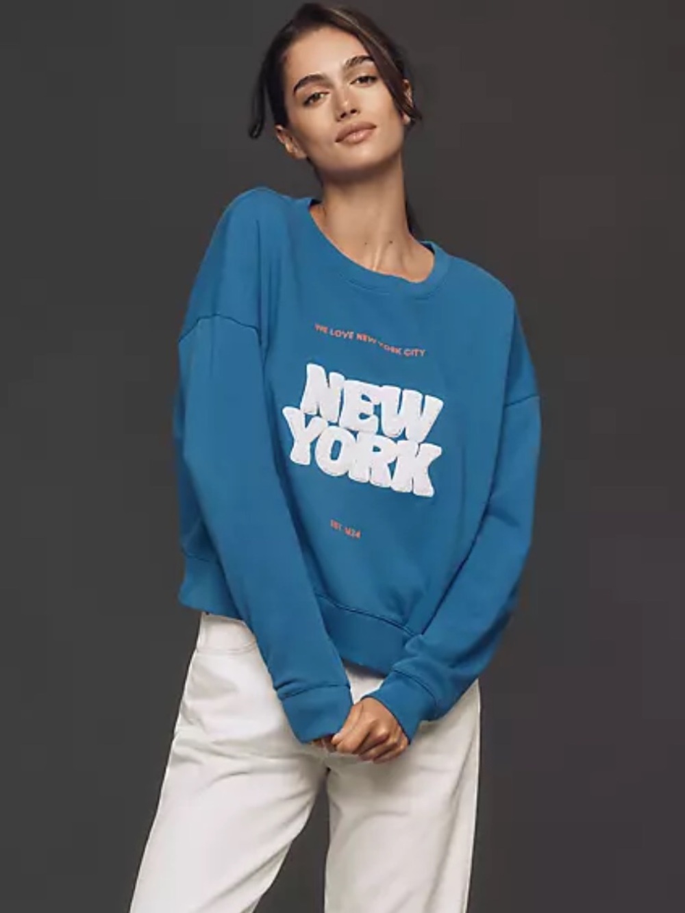 NWT Maeve Anthropologie x Kaylee Wakai Blue‎ Sweatshirt New York Size Small